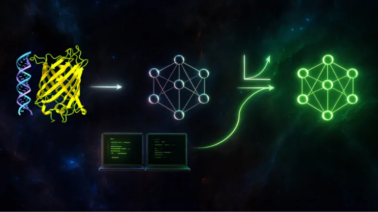 NVIDIA BioNeMo Recipes Scale Biology Transformer Models with PyTorch