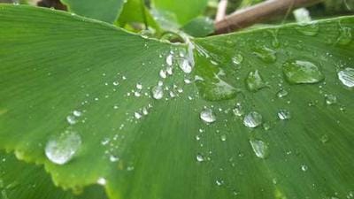 Treasure Data's AI Marketing Cloud: A CDP Revolution for 2025?