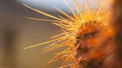 AI Revolution Reshapes Finance: Efficiency, Risks, and Future Markets