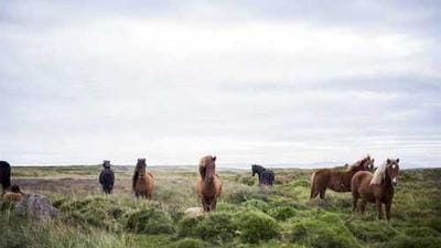 AI Boom Doubles Memory Prices, Squeezing Consumer Tech