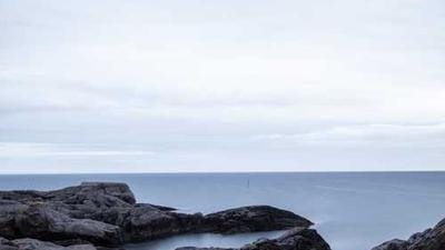 AI Optimism Fuels Market Stability Amidst Economic Uncertainty on Fox Business