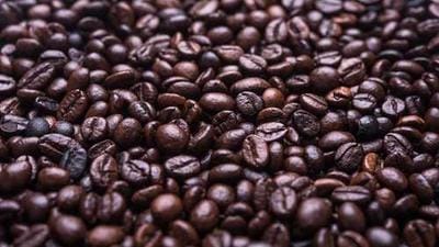 Google Maps AI Unlocks Immersive, Interactive Spatial Web Experiences