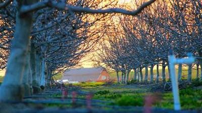 Augmentus Secures Funding from Applied Ventures for Robotics Expansion