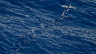 Nokia, NestAI Forge Defense AI Alliance with €100M Investment