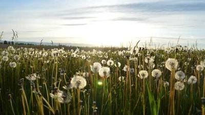 Google's AI Tool Sparks Cheating Fears, Eroding Learning