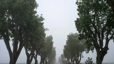 Utah Unleashes ChatGPT Edu: AI Gets a Secure Campus Makeover