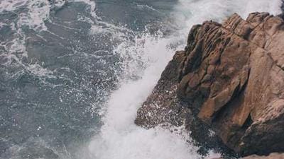 Roper Center Unveils Strict AI Policy for Research Data Security