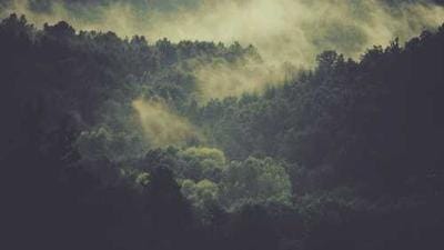 Creator Economy Soars to $37 Billion, AI Adoption Sparks Concerns