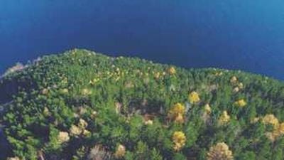 Google Gemini AI Could Turn Apple Watch Into Wrist Supercomputer