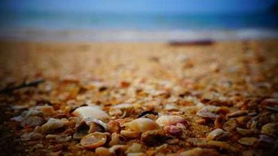 AMD's New AI Chip Challenges Nvidia's Dominance, Sparks Market Buzz