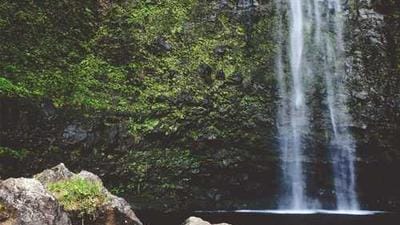 Solar Industry Backs Trump's Ambitious AI Grid Modernization Plans